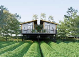 nhà di động homestay